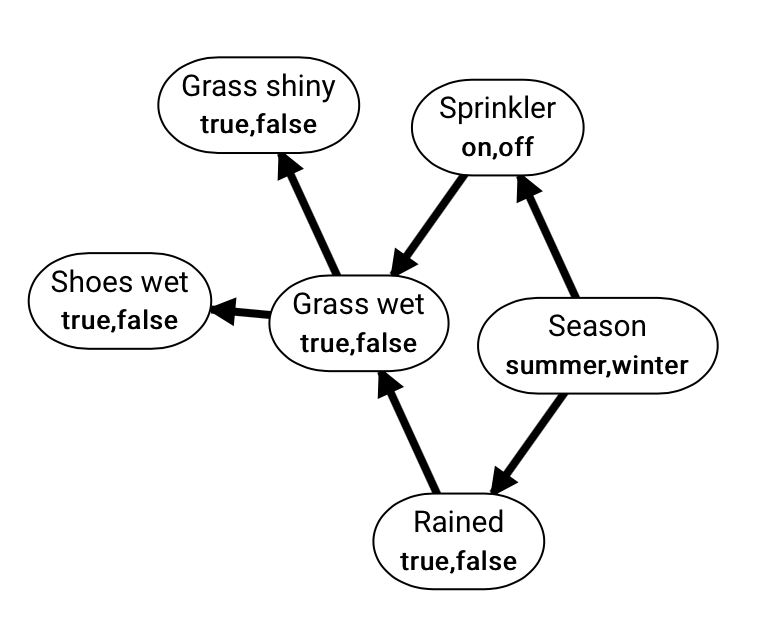 Grass Watering Belief Network